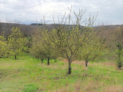 Pethőhenye, Pethőhenye, ingatlan, telek, 1.700.000 Ft