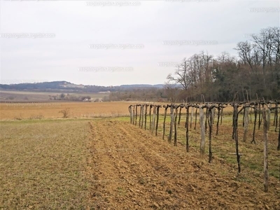 Eladó általános mezőgazdasági ingatlan - Balatoncsicsó, Veszprém megye