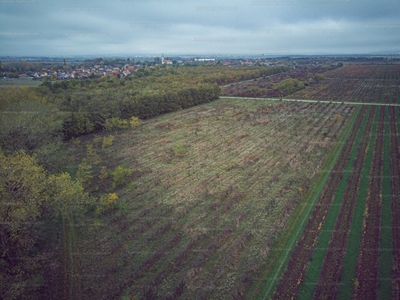 Eladó általános mezőgazdasági ingatlan - Gyulakeszi, Veszprém megye