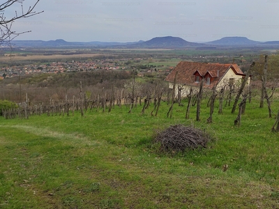 Eladó általános mezőgazdasági ingatlan - Lesenceistvánd, Szőlőhegy