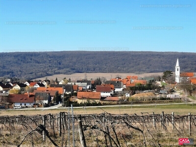 Eladó általános mezőgazdasági ingatlan - Szentantalfa, Veszprém megye