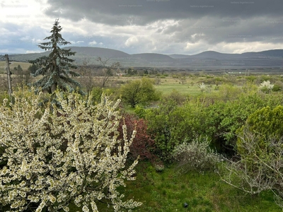 Eladó családi ház - Szentendre, Szarvashegy