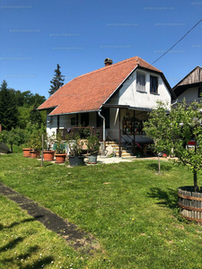 Eladó étterem, vendéglő - Lenti, Lentihegy