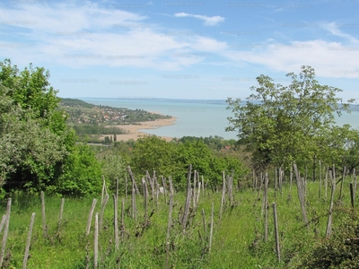 Eladó hétvégi házas nyaraló - Badacsonytomaj, Központ