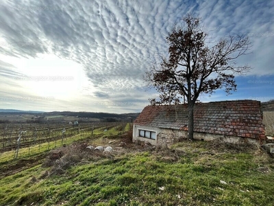 Eladó hétvégi házas nyaraló - Balatonszőlős, Veszprém megye