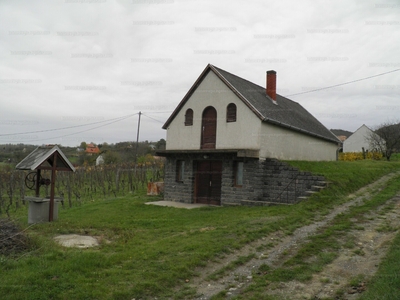 Eladó hétvégi házas nyaraló - Lesenceistvánd, Szilos