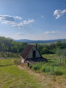 Eladó hétvégi házas nyaraló - Tapolca, Diszel