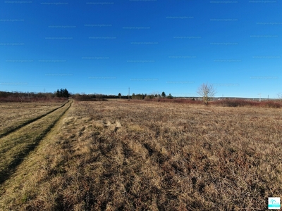 Eladó kereskedelmi, szolgáltató terület - Sopron, Pozsonyi út