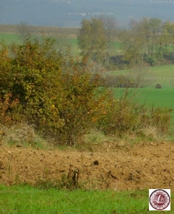 Eladó külterületi telek - Balatonlelle, Somogy megye