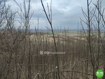 Eladó külterületi telek - Győrújbarát, Győr-Moson-Sopron megye