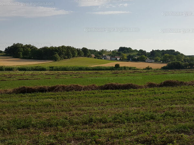 Eladó külterületi telek - Sokorópátka, Győr-Moson-Sopron megye