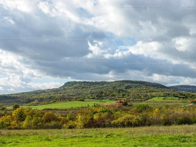 Eladó külterületi telek - Szentendre, Kőhegy