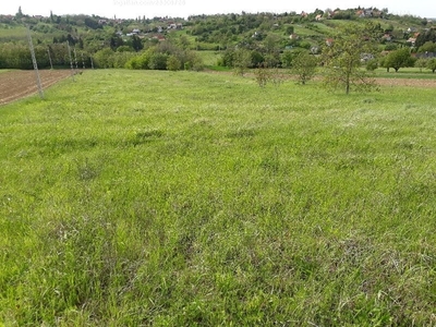 Eladó külterületi telek - Zalaegerszeg, Felsődűlő utca