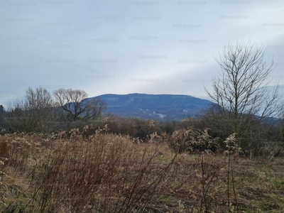 Eladó lakóövezeti telek - Badacsonytördemic, Veszprém megye