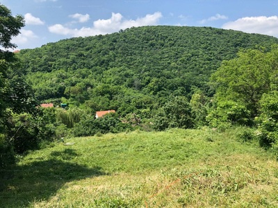 Eladó lakóövezeti telek - Balatonalmádi, Sátorhegyi út 28.