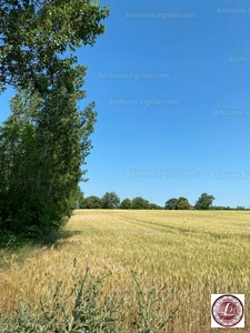 Eladó lakóövezeti telek - Balatonszárszó, Somogy megye