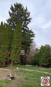 Eladó lakóövezeti telek - Balatonszárszó, Somogy megye