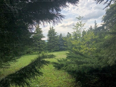 Eladó lakóövezeti telek - Budakeszi, Máriamakk