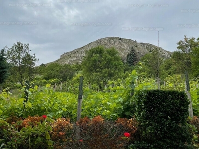 Eladó lakóövezeti telek - Budaörs, Odvashegy