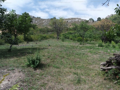 Eladó lakóövezeti telek - Budaörs, Odvashegy