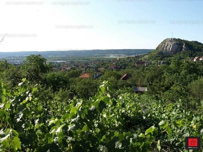 Eladó lakóövezeti telek - Budaörs, Pest megye