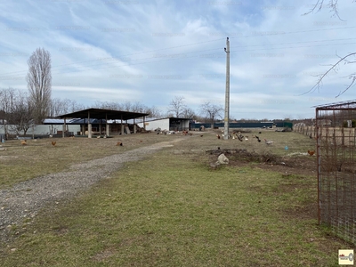 Eladó lakóövezeti telek - Dabas, Gyón