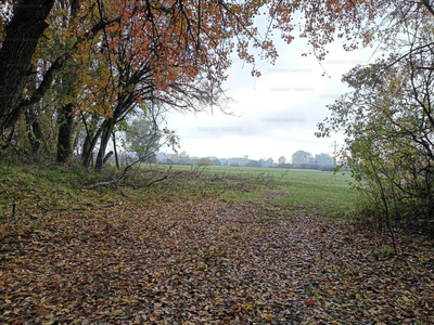 Eladó lakóövezeti telek - Debrecen, Nagycsere