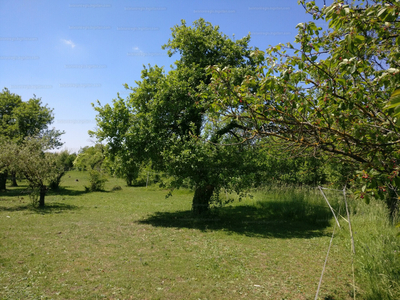 Eladó lakóövezeti telek - Gyenesdiás, Felsőgyenes