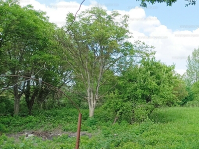 Eladó lakóövezeti telek - Győr, Banai úti kertek