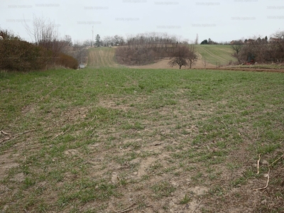 Eladó lakóövezeti telek - Győrság, Győr-Moson-Sopron megye