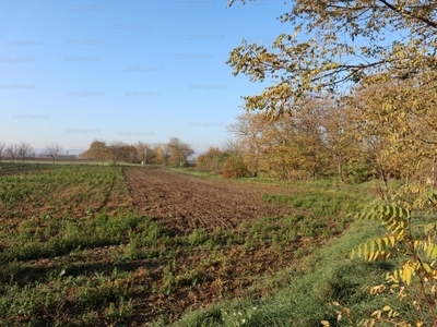 Eladó lakóövezeti telek - Győrság, Halomalja