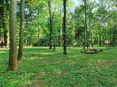 Eladó lakóövezeti telek - II. kerület, Budakeszierdő