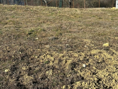 Eladó lakóövezeti telek - II. kerület, II/A kerület - Budaliget