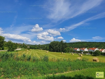 Eladó lakóövezeti telek - III. kerület, Aranyhegy