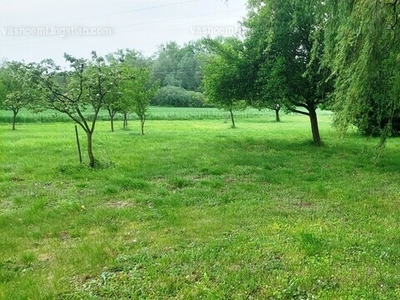 Eladó lakóövezeti telek - Nagykanizsa, Szabadhegy