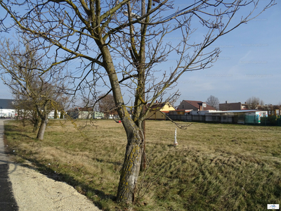 Eladó lakóövezeti telek - Nagyszentjános, Győr-Moson-Sopron megye