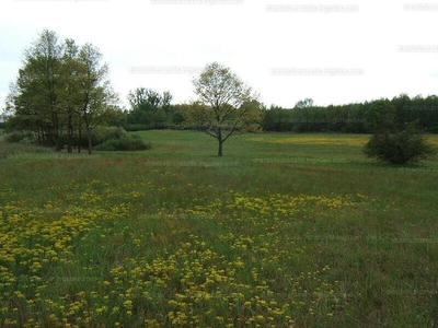 Eladó lakóövezeti telek - Nyáregyháza, Felsőnyáregyháza