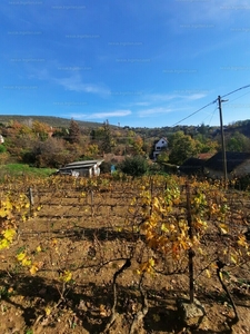 Eladó lakóövezeti telek - Pécs, Deindol