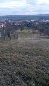 Eladó lakóövezeti telek - Pécs, Makratető dűlő