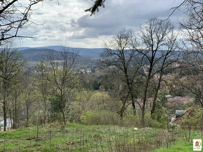 Eladó lakóövezeti telek - Piliscsaba, Klotildliget