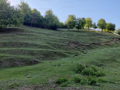 Eladó lakóövezeti telek - Sirok, Petőfi út