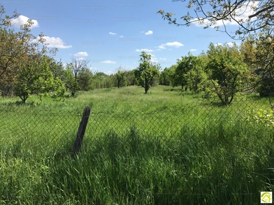 Eladó lakóövezeti telek - Szeged, Baktó