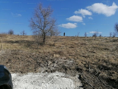 Eladó lakóövezeti telek - Tinnye, Királyvölgy