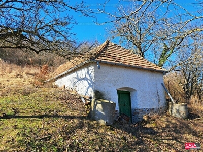 Eladó pince, présház - Káptalantóti, Veszprém megye