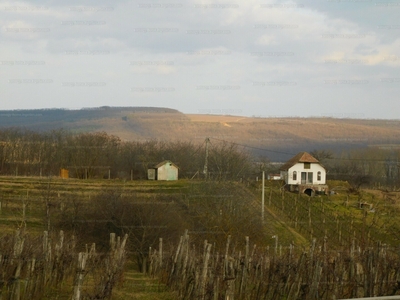 Eladó pince, présház - Látrány, Péntekhely