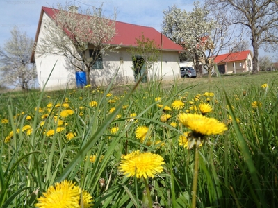 Eladó pince, présház - Marcali, Szőlőhegy