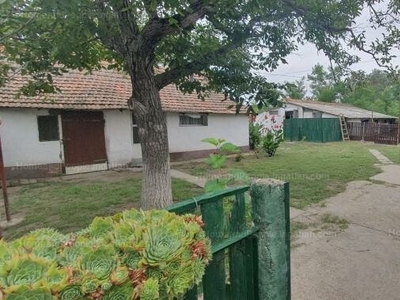 Eladó tanya - Bordány, Csongrád-Csanád megye