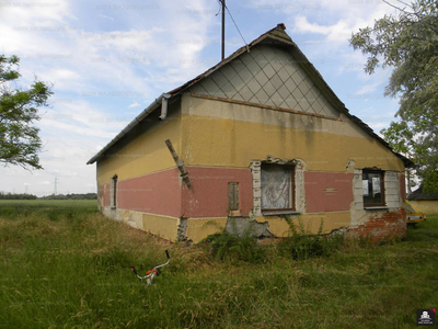 Eladó tanya - Tömörkény, Csongrád-Csanád megye