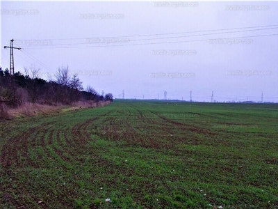 Eladó termőföld, szántó - Győr, Szabadhegy