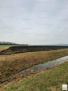 Eladó termőföld, szántó - Győrújbarát, Győr-Moson-Sopron megye